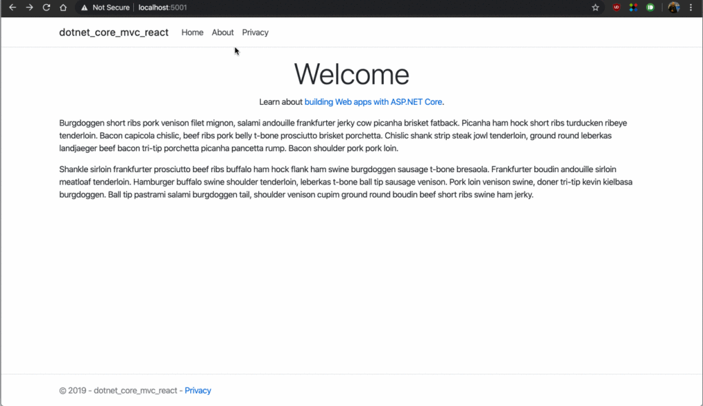 Initial Net Core MVC app